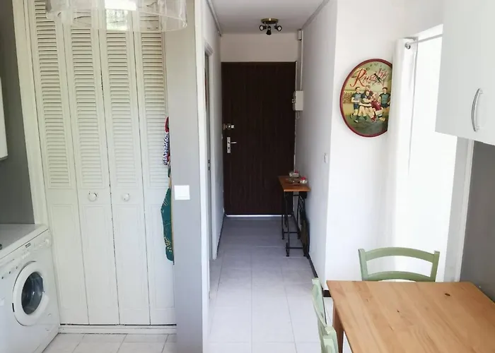 Apartman Renove Avec Grande Terrasse Et Wifi A - Fr-1-553-230 Balaruc-les-Bains