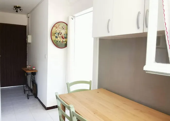 Apartman Renove Avec Grande Terrasse Et Wifi A - Fr-1-553-230